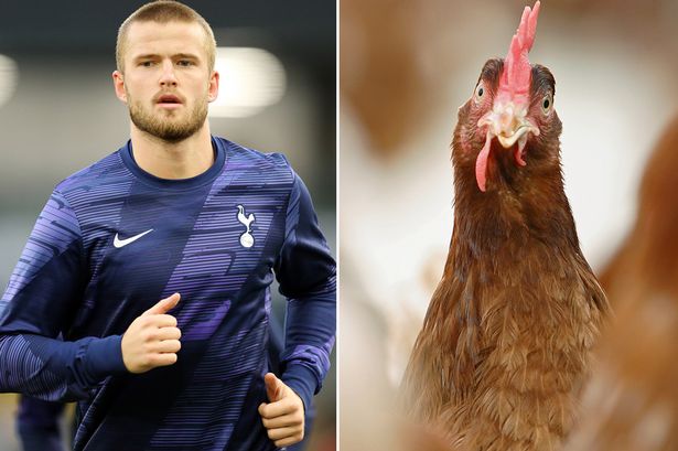 Ylli i Tottenhamit: Po rris pula, i kam si fëmijët e mi