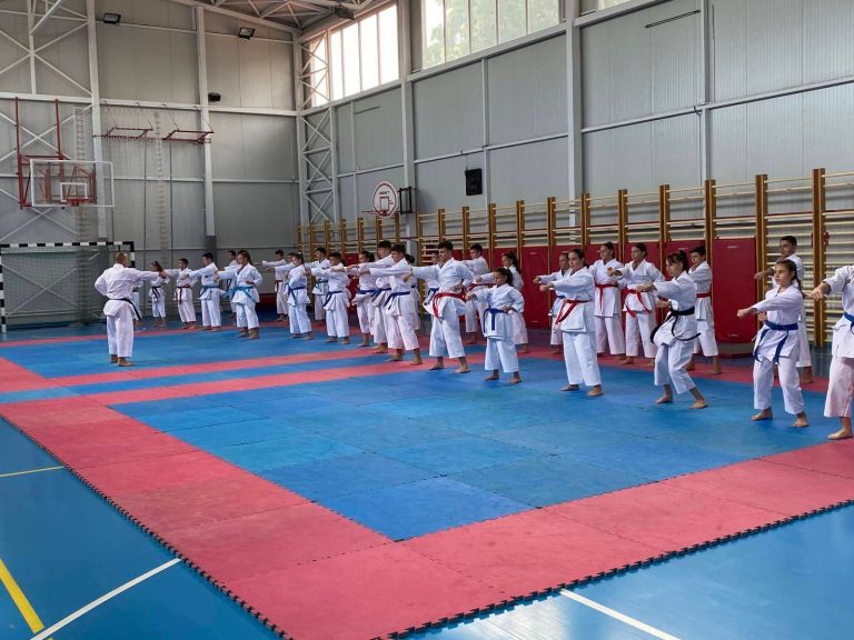 Nismë për Kuvend të jashtëzakonshëm në federatën e karatesë