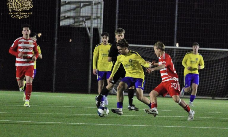 Valon Murtezani, talenti shqiptar që po rritet në Gjermani